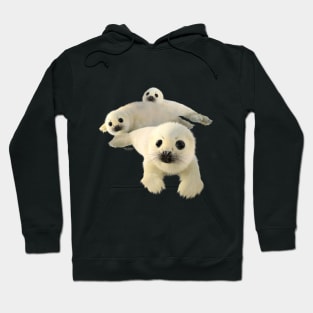 Seal Pups Hoodie